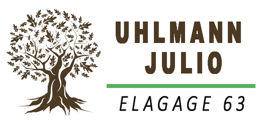 UHLMANN Julio Elagage 63